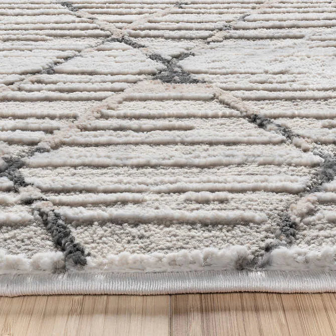 Barmond Area Rug, Aria Silver 8x10