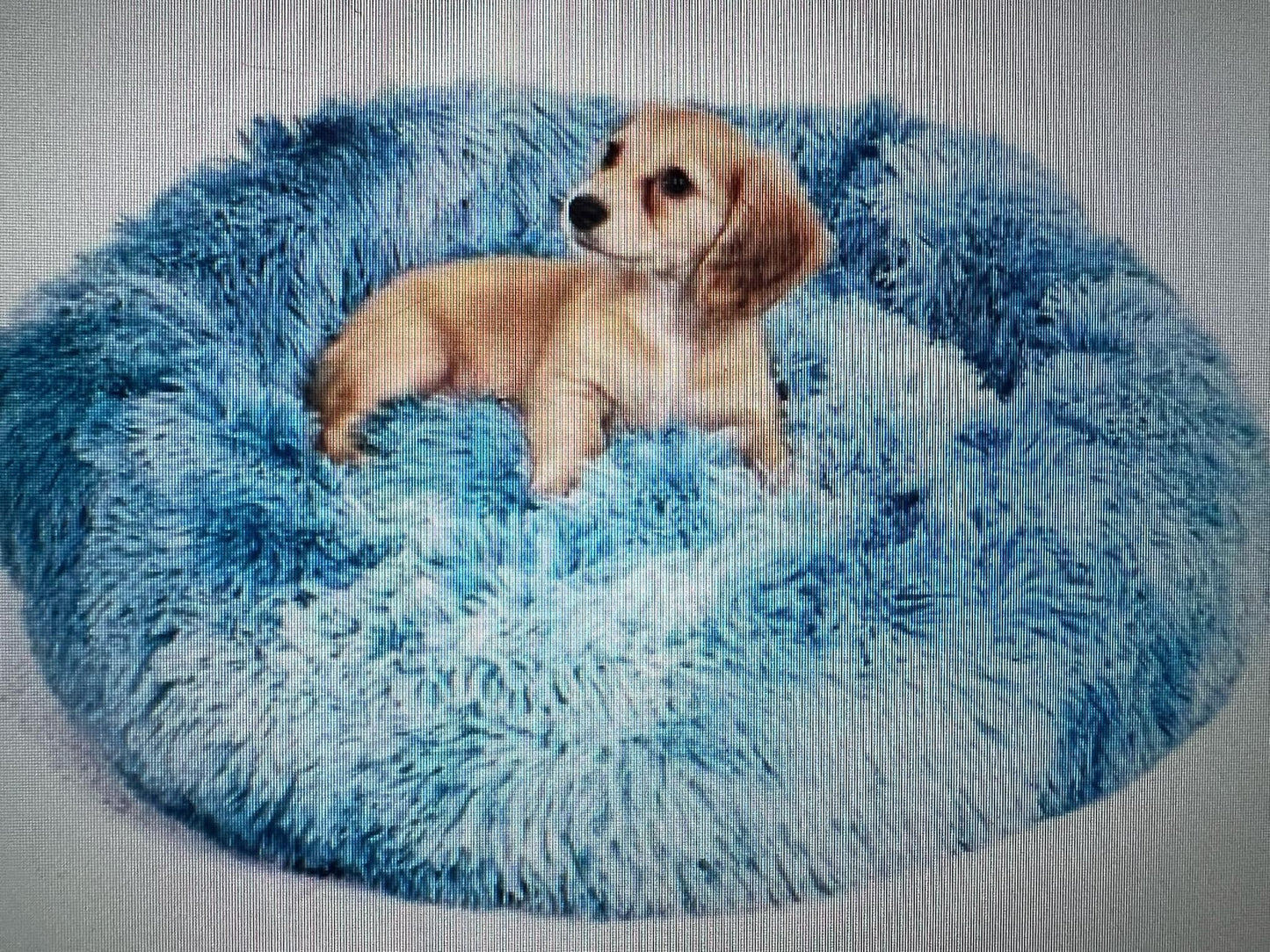 Camas relajantes para mascotas
